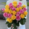 25 розовых и желтых роз 60 см